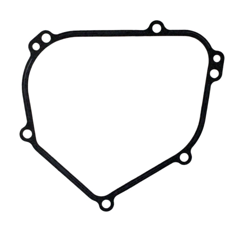 12. 699485 World Formula Crankcase Gasket