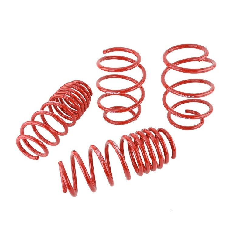 Skunk2 Lowering Springs – 2016-2021 Honda Civic (excludes Type R)