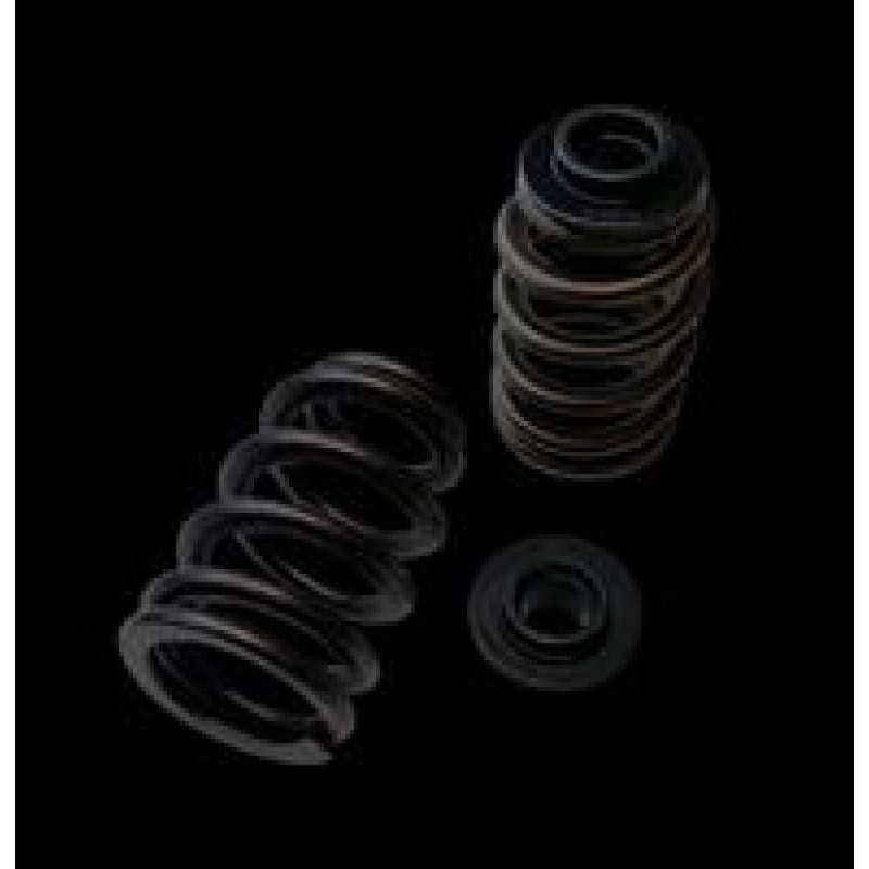 Brian Crower Polaris XP1000/XPTurbo/XP900 Dual Spring/Titanium Retainer/Seat Kit